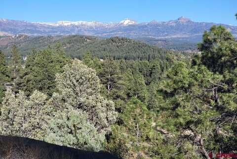 Echo Lake Access Easement, Pagosa Springs, CO 81147