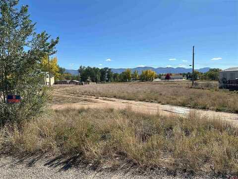 1331 Twenty Mule Team Drive, Cortez, CO 81321