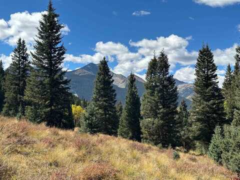 Riverside Group CR 2, Silverton, CO 81433