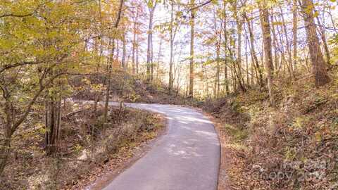 00 N Pinnacle Drive, Weaverville, NC 28787