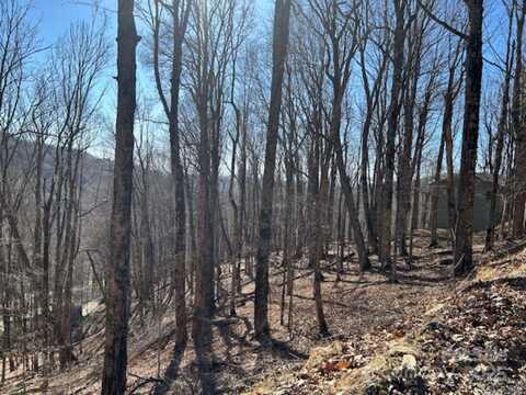 960 Oak Ridge Lane unit: 61-Lot-A, Mars Hill, NC 28754