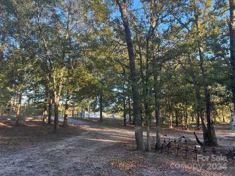 1814 Landfill Road, Mount Croghan, SC 29727