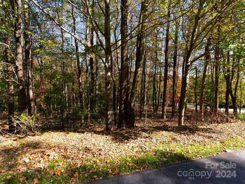 308 Piney Knoll Lane, Hendersonville, NC 28739