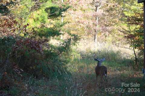 159 Clarks Chapel Extension, Weaverville, NC 28787