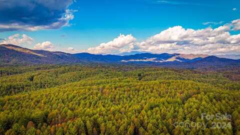 Carsons Way unit: 58, Collettsville, NC 28611