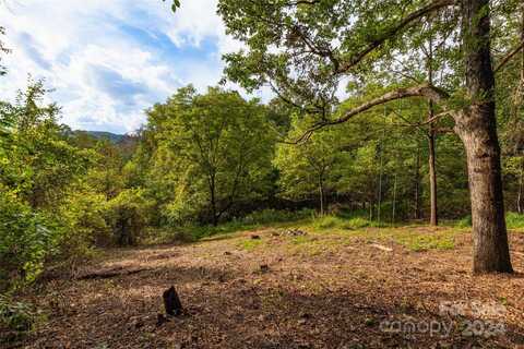 0000 Sandy Flat Mountain Road, Fletcher, NC 28732