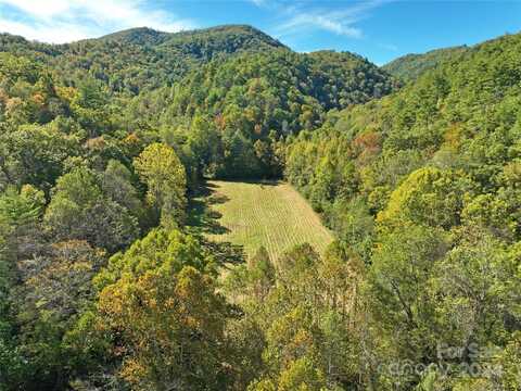 Tbd NC 209 Highway, Hot Springs, NC 28743