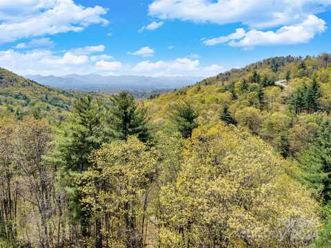 21 Villa Nova Drive, Asheville, NC 28804