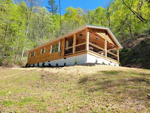 280 Plum Tree Holler Drive, Hot Springs, NC 28743