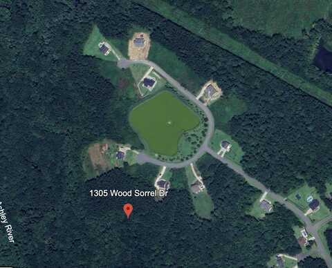 1305 Wood Sorrel Drive, Moncks Corner, SC 29461