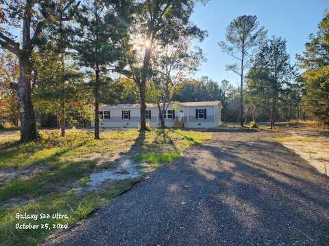 317 Marion Road, Dorchester, SC 29437