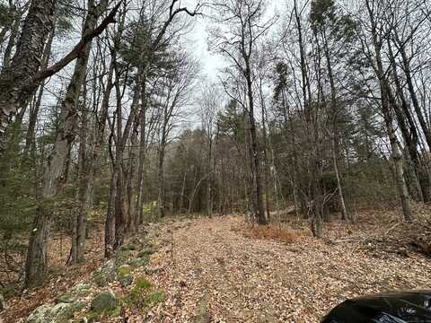 Center Street, Hartland, CT 06027