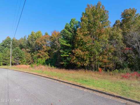 00 Red Bird, lot 10 Drive, Lexington, TN 38351