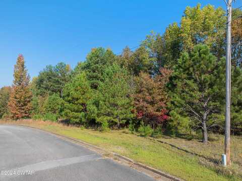 00 Red Bird, Lot 11 Drive, Lexington, TN 38351