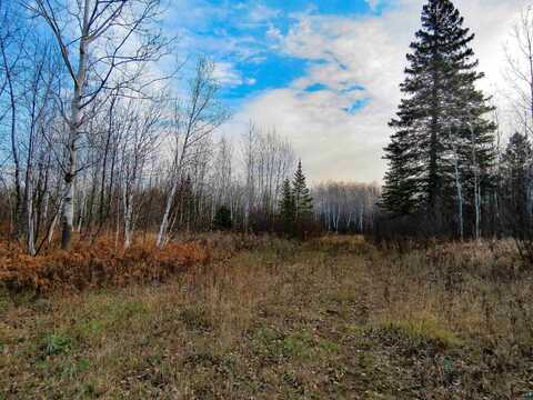 xxx Mattson Rd, Finland, MN 55603