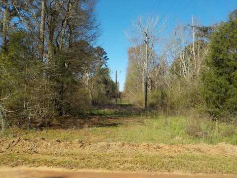 5 +-ac(Lot 1PL) Cty Rd 140/ Cty Rd 141, Headland, AL 36345