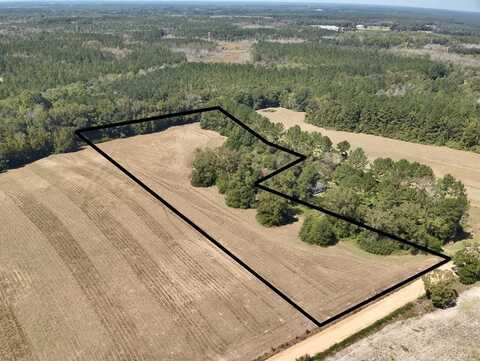 7 acres C Powell Road, Samson, AL 36477