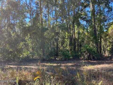 141 Hazel Avenue, Georgetown, FL 32139