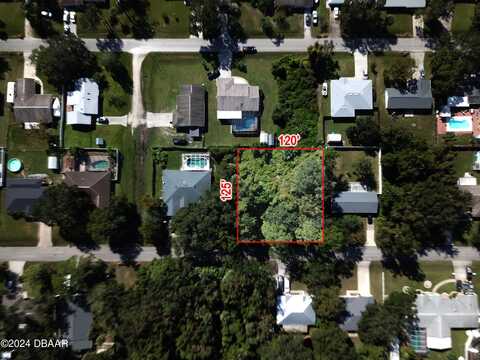 3224 Needle Palm Drive, Edgewater, FL 32141