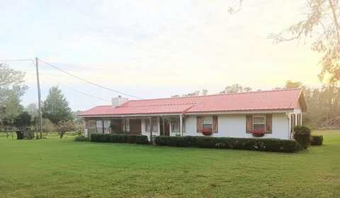 120 Old Pearson Rd, Willacoochee, GA 31650