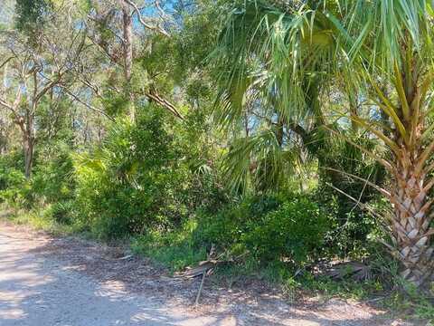 Lot 16 110th Ave, Chiefland, FL 32626