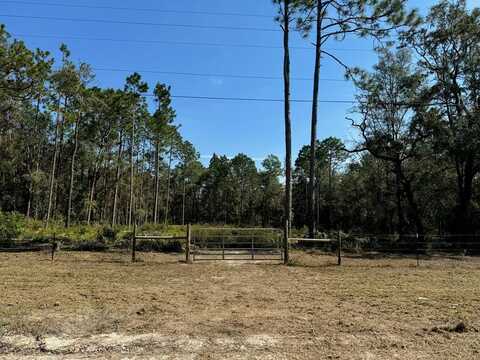 22nd Ct, Bell, FL 32619