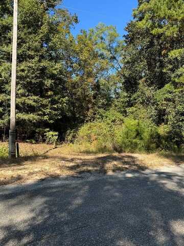 Lot 5 South Galaxie, Abbeville, AL 36310