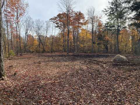 5.96 Acres S Brasser, Sugar Island, MI 49783