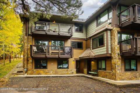 650 S Monarch Street 9, Aspen, CO 81611