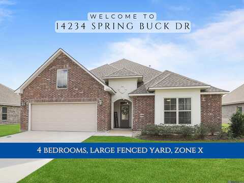 14234 SPRINGBUCK DR, Denham Springs, LA 70726