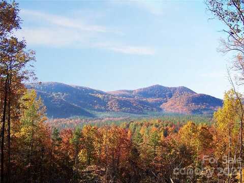 61 Scenic Vista Drive 238, Nebo, NC 28761