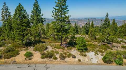 40 Fawn Lily Lane, Shaver Lake, CA 93664