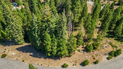 23 Foxglove Lane, Shaver Lake, CA 93664