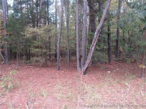 undefined, Sanford, NC 27330