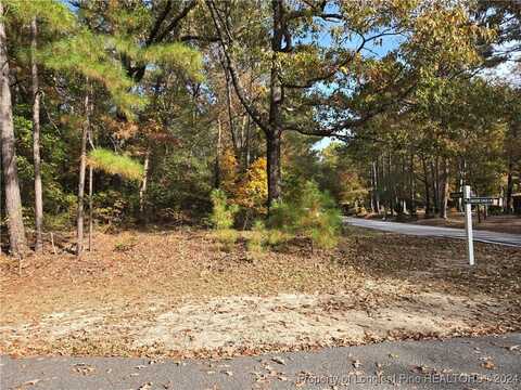 Lot 51 A Loblolly Drive, Woodlake, NC 28394