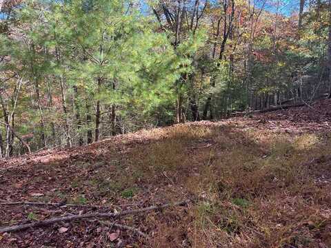 Lot 143 Pioneer Village Dr, Franklin, NC 28734