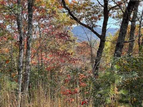 Lot #2 Tobacco Branch Road, Almond, NC 28702