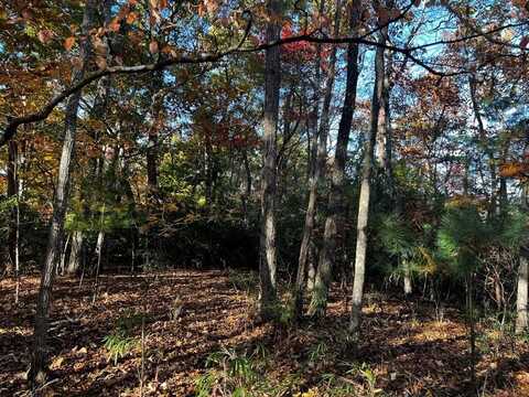 Lot 7 Forest Oak Rd, Franklin, NC 28734