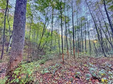Wesser Creek rd, Bryson City, NC 28713