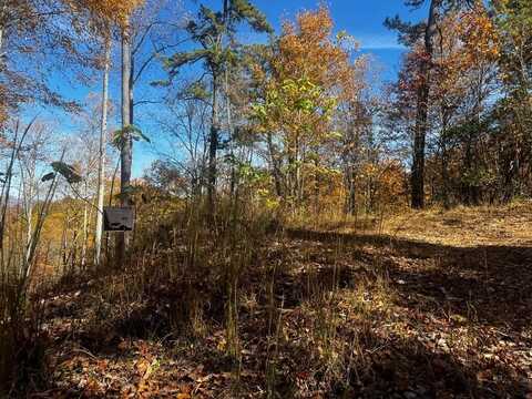 Lot 49 Elkhorn Ridge Dr, Franklin, NC 28734