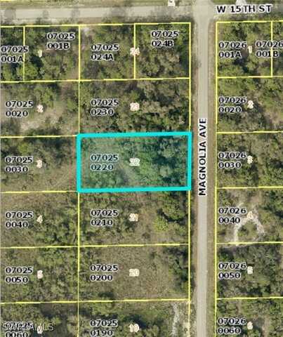 1419 Magnolia Avenue, Lehigh Acres, FL 33972