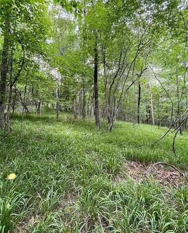 55 Sweetwater, Lula, GA 30554