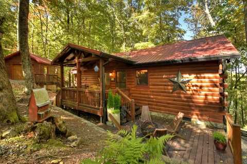 9 Joanna Court, Cherry Log, GA 30513