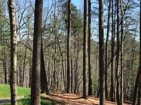 0 Carters View, Ellijay, GA 30540