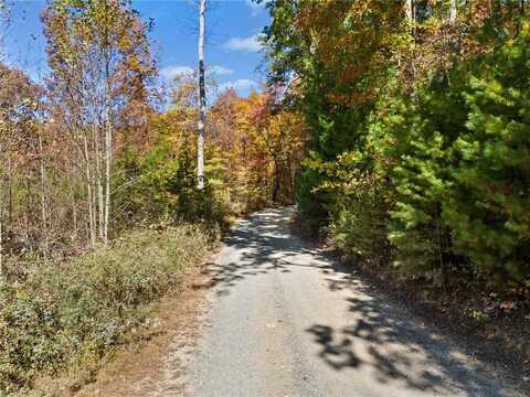 16.31 Old Burnt Mountain Rd, Ellijay, GA 30536