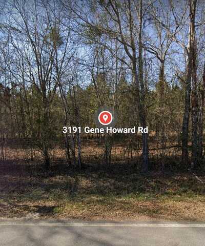 3191 GENE HOWARD Road, Stapleton, GA 30823