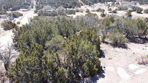 Pine Jay lot Lane, Edgewood, NM 87015