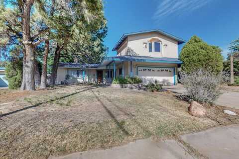 9117 Atkinson Place NE, Albuquerque, NM 87112