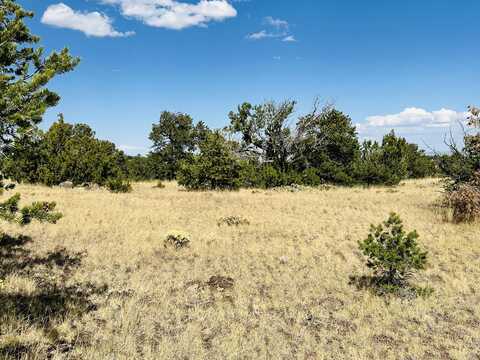 Powerline Road, Quemado, NM 87829