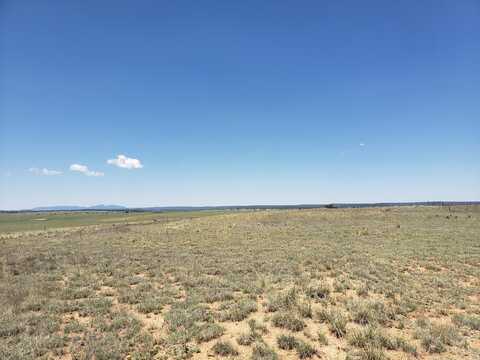 Rabbit Run Court, Moriarty, NM 87035